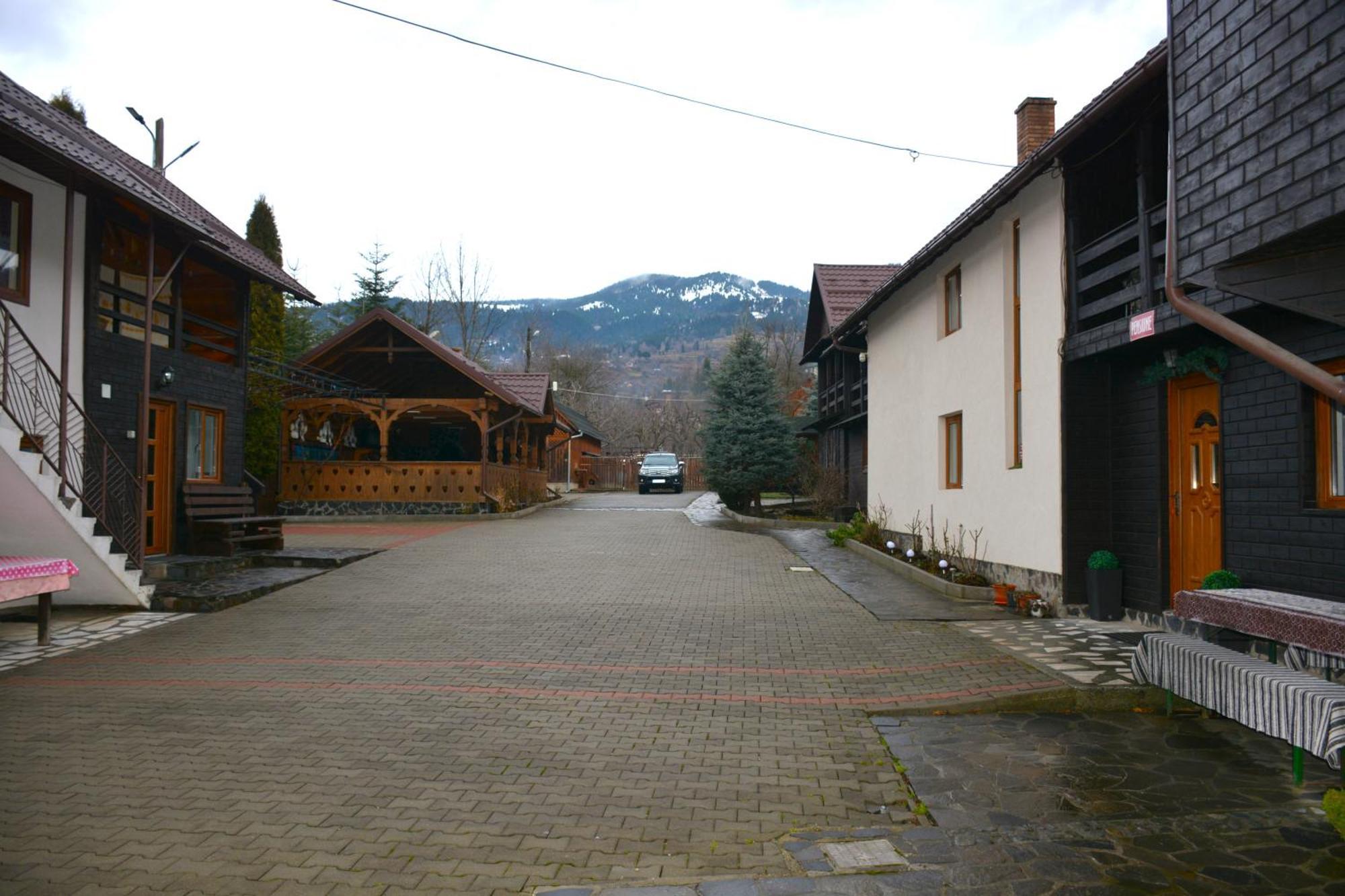 Pensiunea Poiana Borsa  Exterior photo